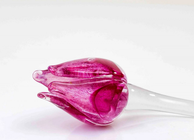 Loranto + Tulp, roze